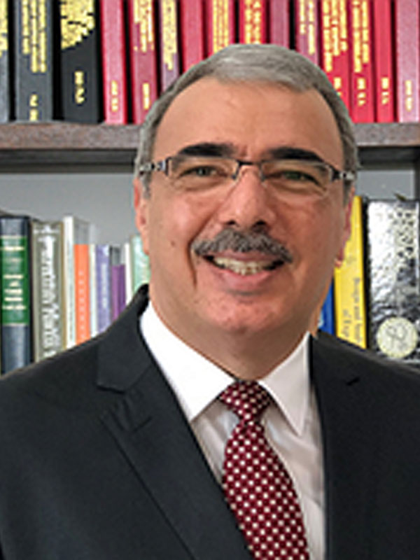 Prof. Bassim H. Hameed