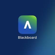 البلاك بورد